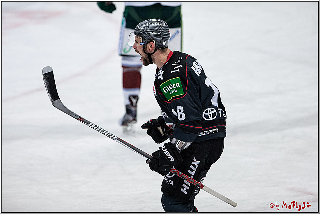 DEL, Koelner Haie - Augsburger Panther, 13.01.2017